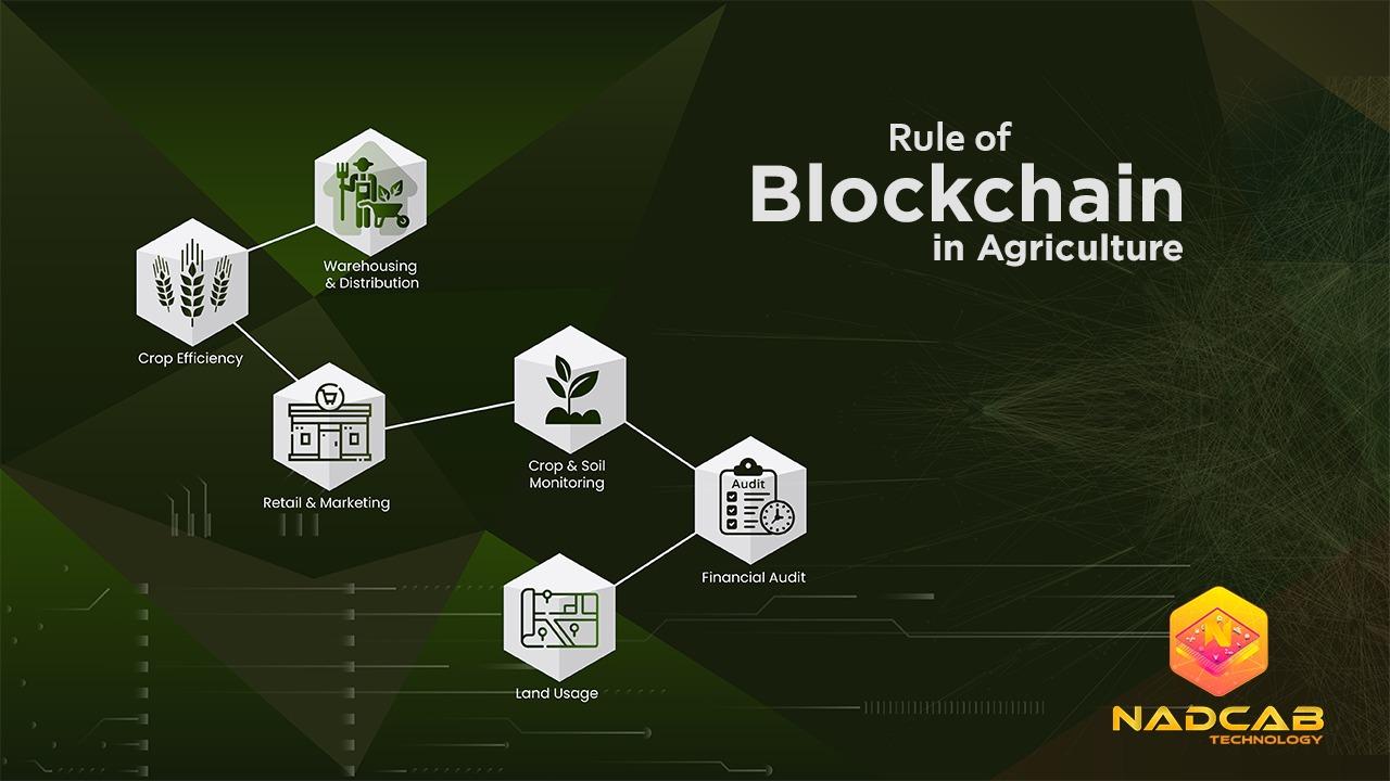 Rule of Blockchain in Agriculture - Verna Magazine